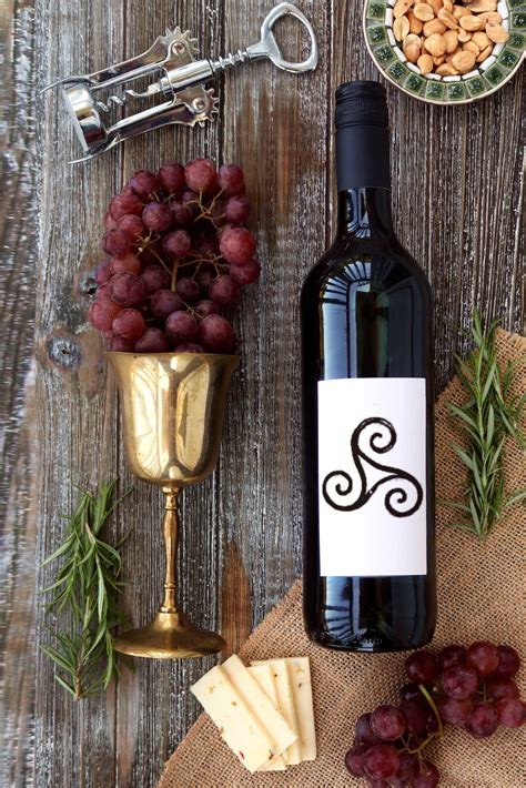 The Grape Witch's Secret Wine Recipes: From Mulled Wine to Sangria